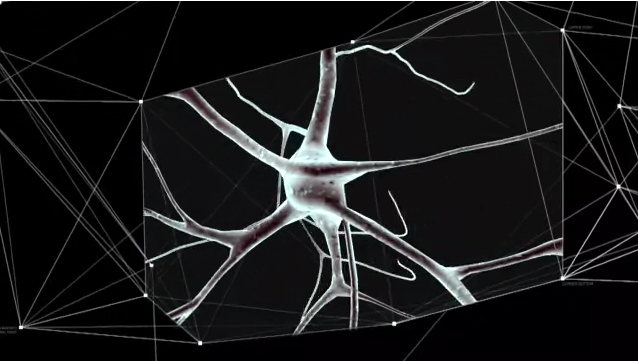 Pierwszy ultra-wysokiej rozdzielczości model mózgu-1