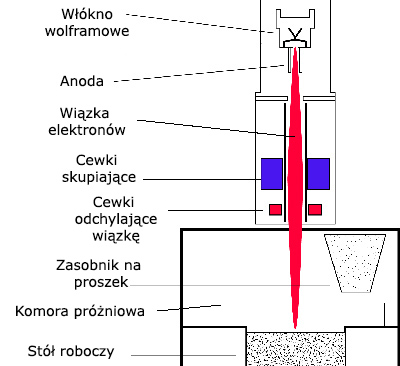 EBM 7