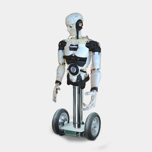 Drukowany robot Inmoove -3
